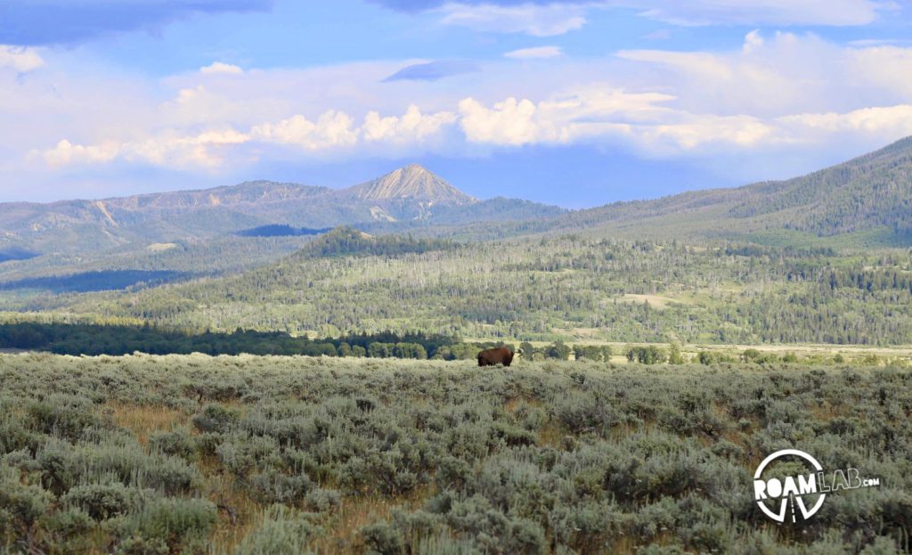 While much of the Grand Teton National Park is paved, there is a rare off-roading opportunity on the River Road. Join buffalo and elk along the Snake River.