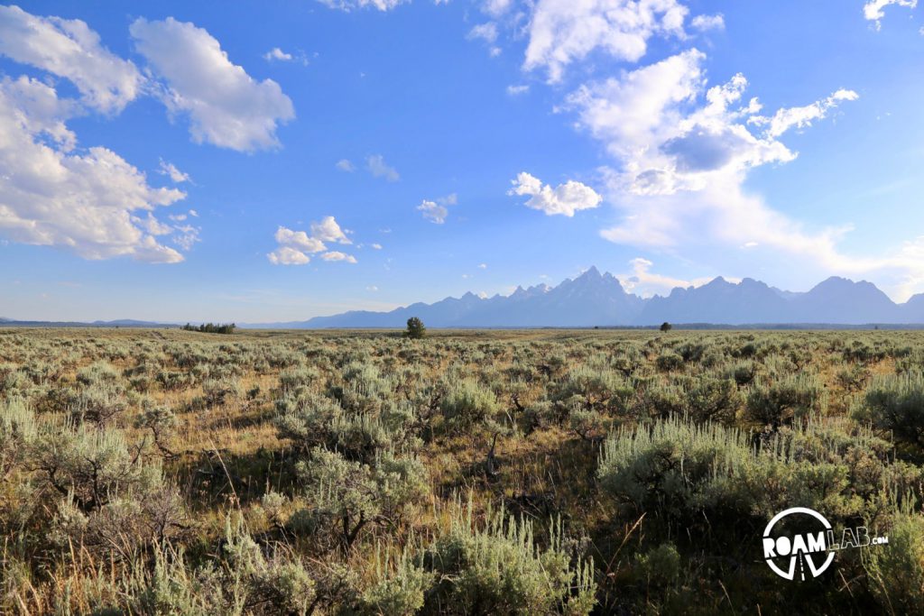 While much of the Grand Teton National Park is paved, there is a rare off-roading opportunity on the River Road. Join buffalo and elk along the Snake River.