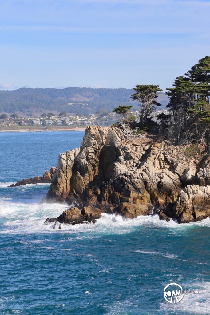 See whales, sea otters, sea lions, harbor seals, pelicans, herons, egrets, and all Point Lobos State Natural Reserve offers in an ultimate 5-mile hike.