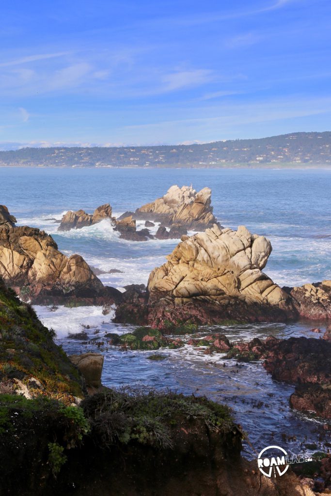See whales, sea otters, sea lions, harbor seals, pelicans, herons, egrets, and all Point Lobos State Natural Reserve offers in an ultimate 5-mile hike.