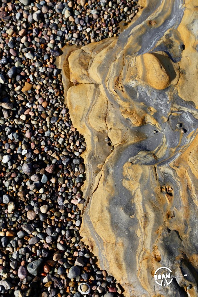 See whales, sea otters, sea lions, harbor seals, pelicans, herons, egrets, and all Point Lobos State Natural Reserve offers in an ultimate 5-mile hike.