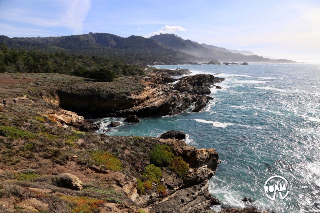 See whales, sea otters, sea lions, harbor seals, pelicans, herons, egrets, and all Point Lobos State Natural Reserve offers in an ultimate 5-mile hike.