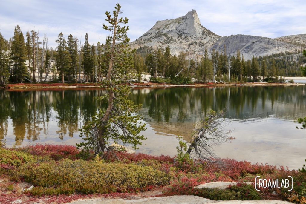 Hiking Cathedral Lakes Trail from Tuolumne Meadows to Lower Cathedral Lake, surrounded by Cathedral, Echo, and Tresidder Peaks in Yosemite National Park.