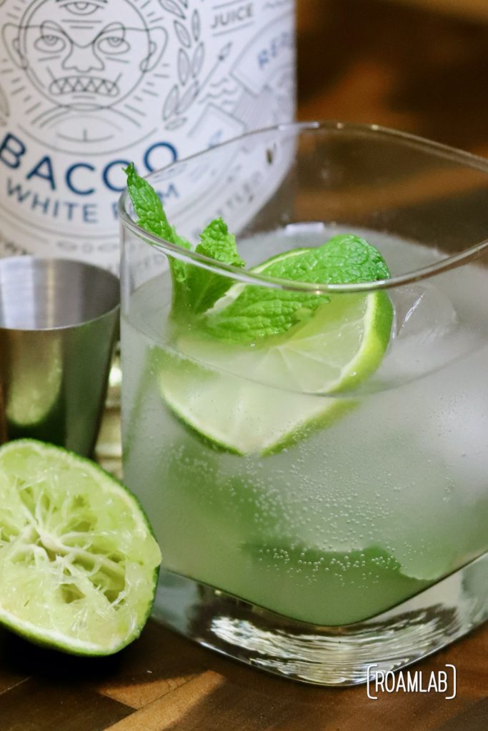 Lift your spirits and muddle up some mint, lime, rum, simple syrup, and club soda for this classic campground mixology mojito cocktail recipe.