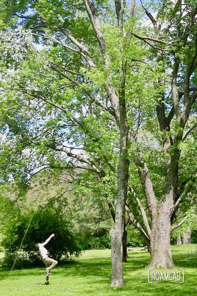 Man tossing a bean bag over a broken branch.