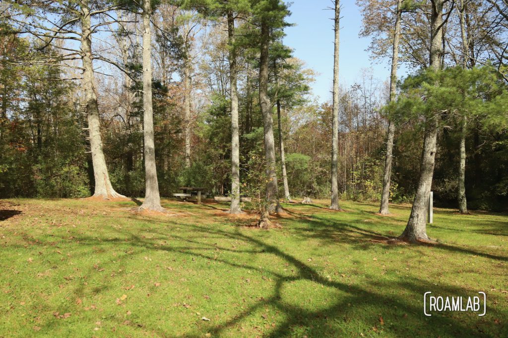 Open green field surrounded by trees at the Davis Pond Campground.