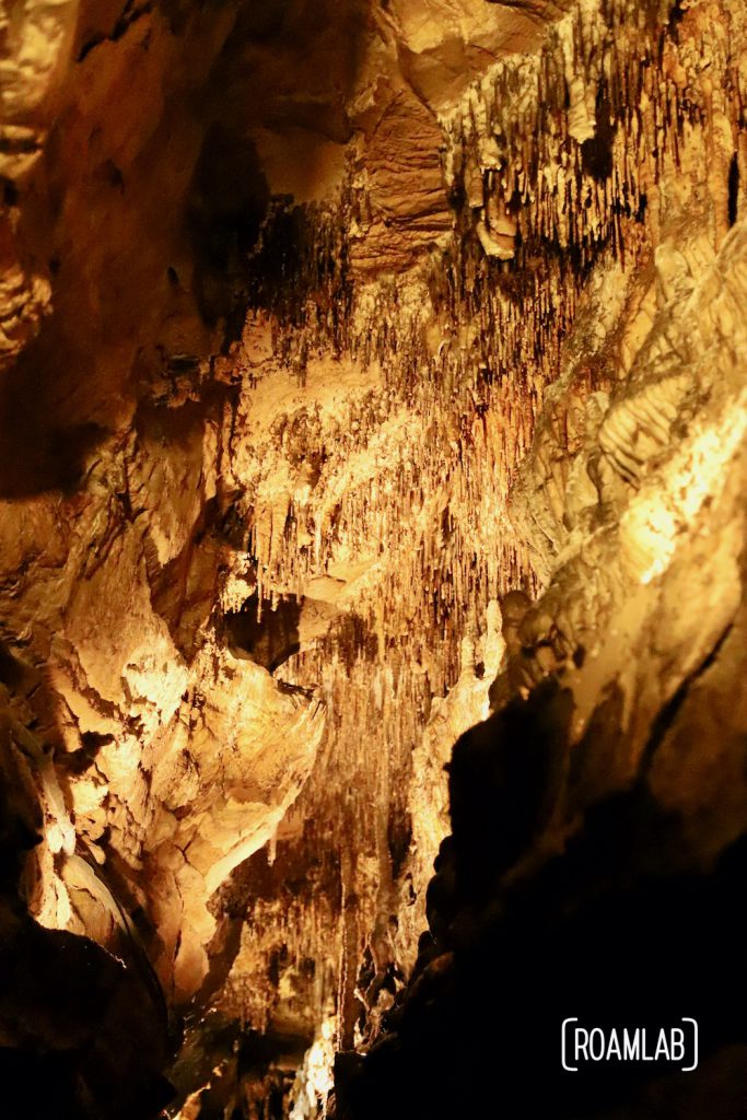 Discovered in 1928, Ruby Falls is the tallest and deepest falls in North America that are publicly accessible, just outside of Chattanooga.