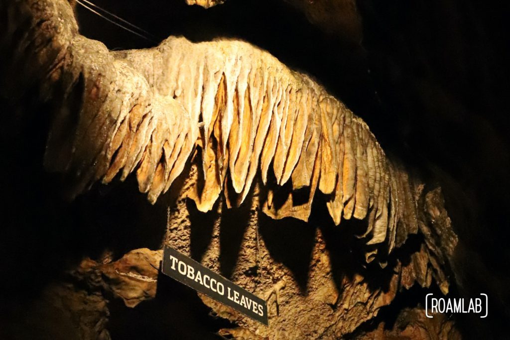 Discovered in 1928, Ruby Falls is the tallest and deepest falls in North America that are publicly accessible, just outside of Chattanooga.