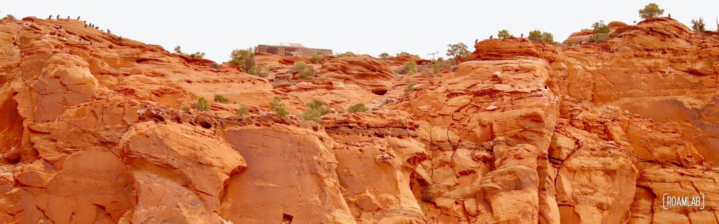 Panorama of California condors perching along the red rocks of Vermillion Cliffs National Monument.