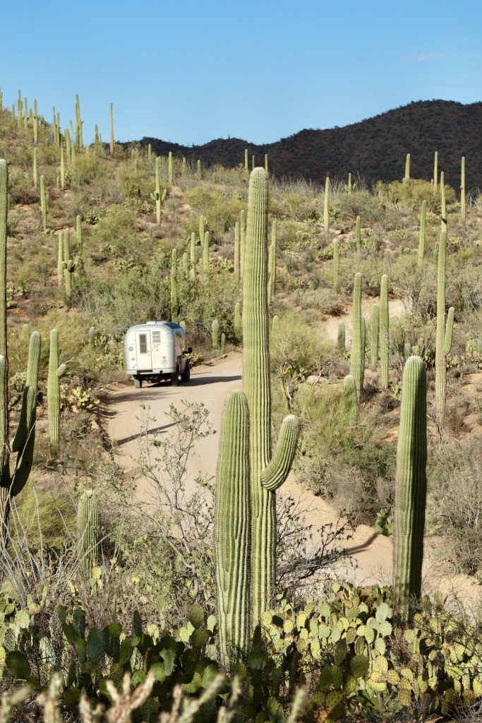 1970 Avion C11 truck camper driving down a narrow dirt road surrounded by cactus covered hillsides with mountains in the background at Saguaro National Park.