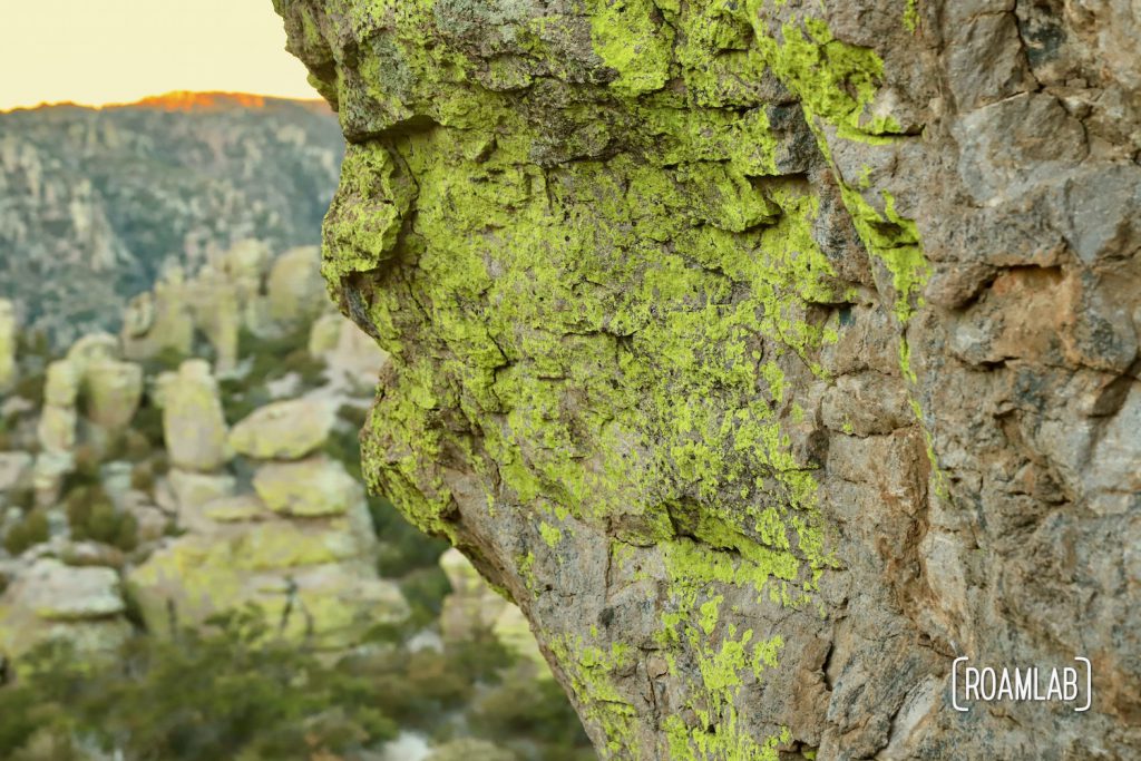 Closeup of green lichen coloring the hoodoos along Echo Canyon Loop Trail at Chiricahua National Monument Arizona