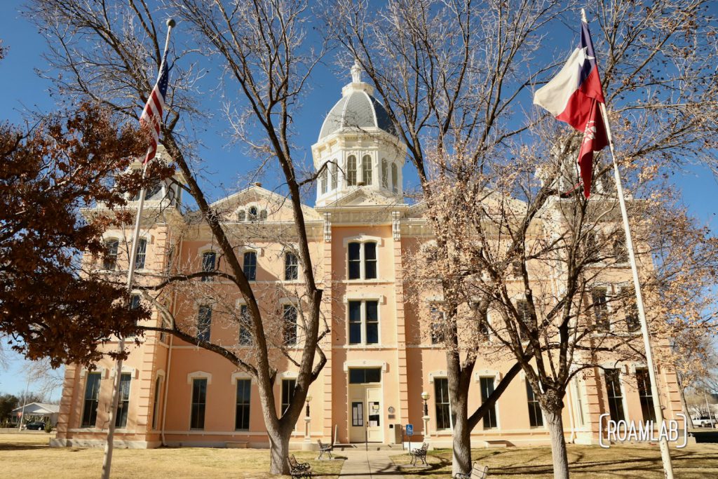 Leafless trees in front of the Marfa City Hall.