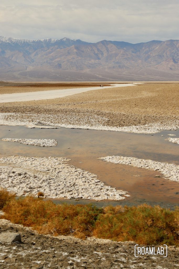 Salty water pond in Death Valley's Badwater dry lake bed.