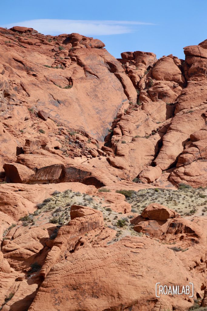 Bright red rocks.