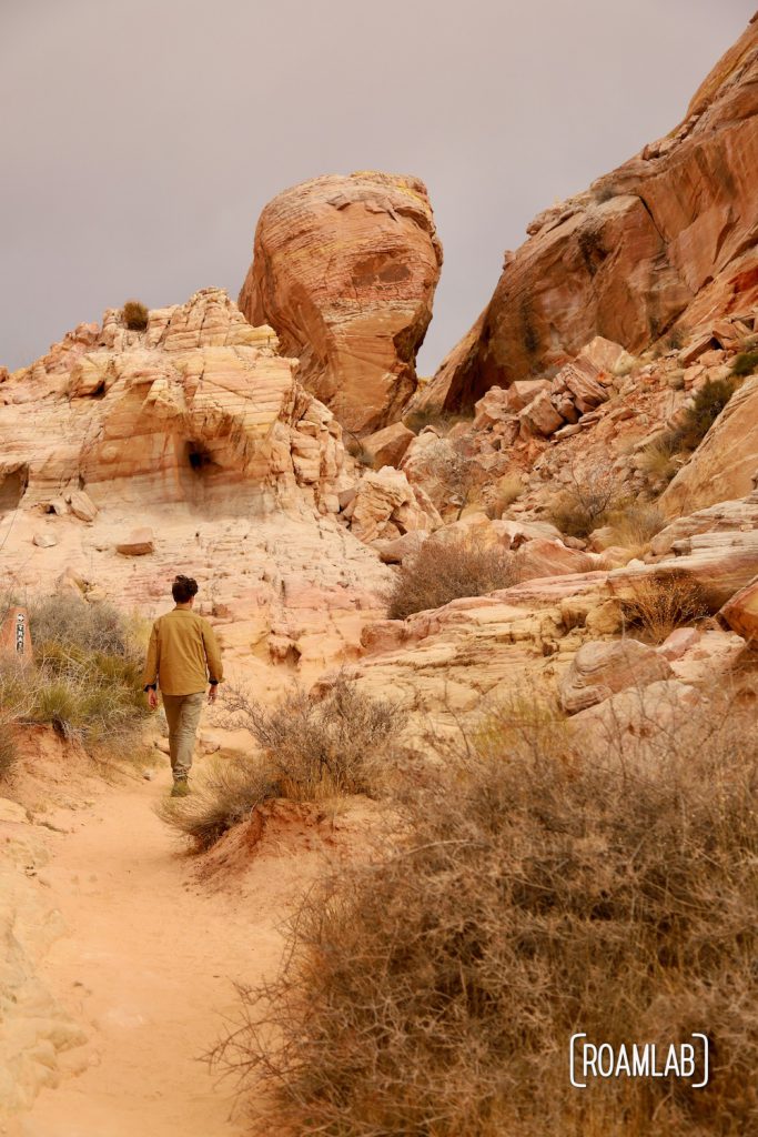 Man walking on a sandy trail toward whimsical rock formations in White Domes Trail in Nevada's Valley of Fire State Park.