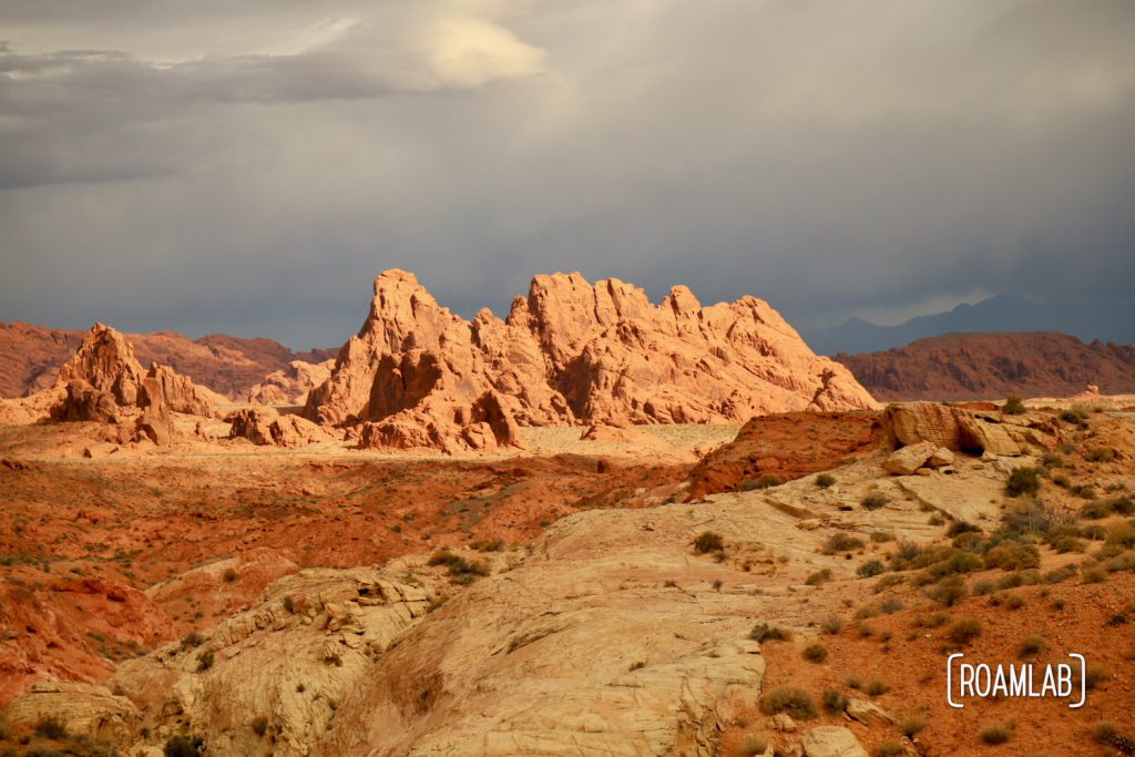 Sweeping vista of red rocks from White Domes Trail in Nevada's Valley of Fire State Park.