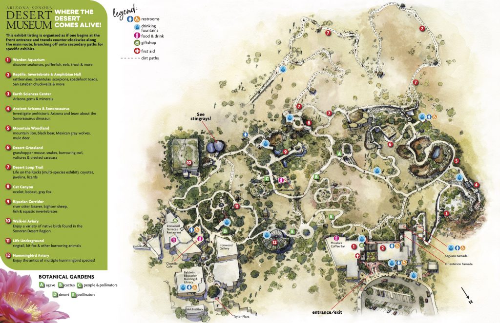 Arizona-Sonora Desert Museum Map