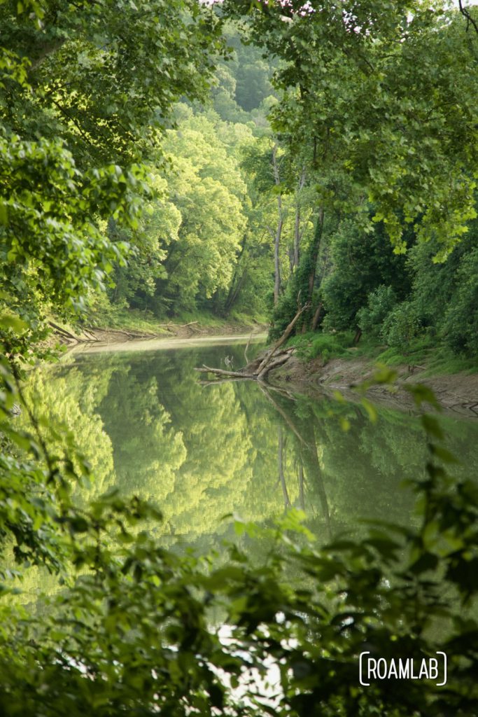View of the Green River from Houchin Ferry Primitive Campground in Mammoth Cave National Park