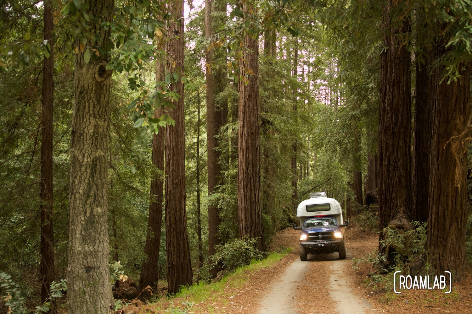 1970 Avion C11 truck camper driving among redwood trees in California