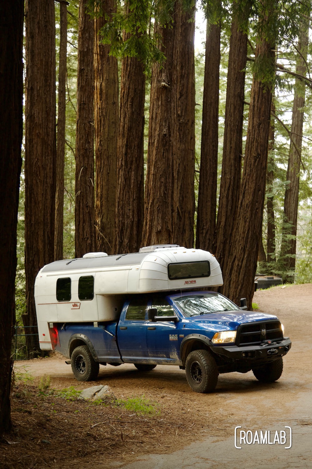 1970 Avion C11 truck camper parked among redwood trees in California