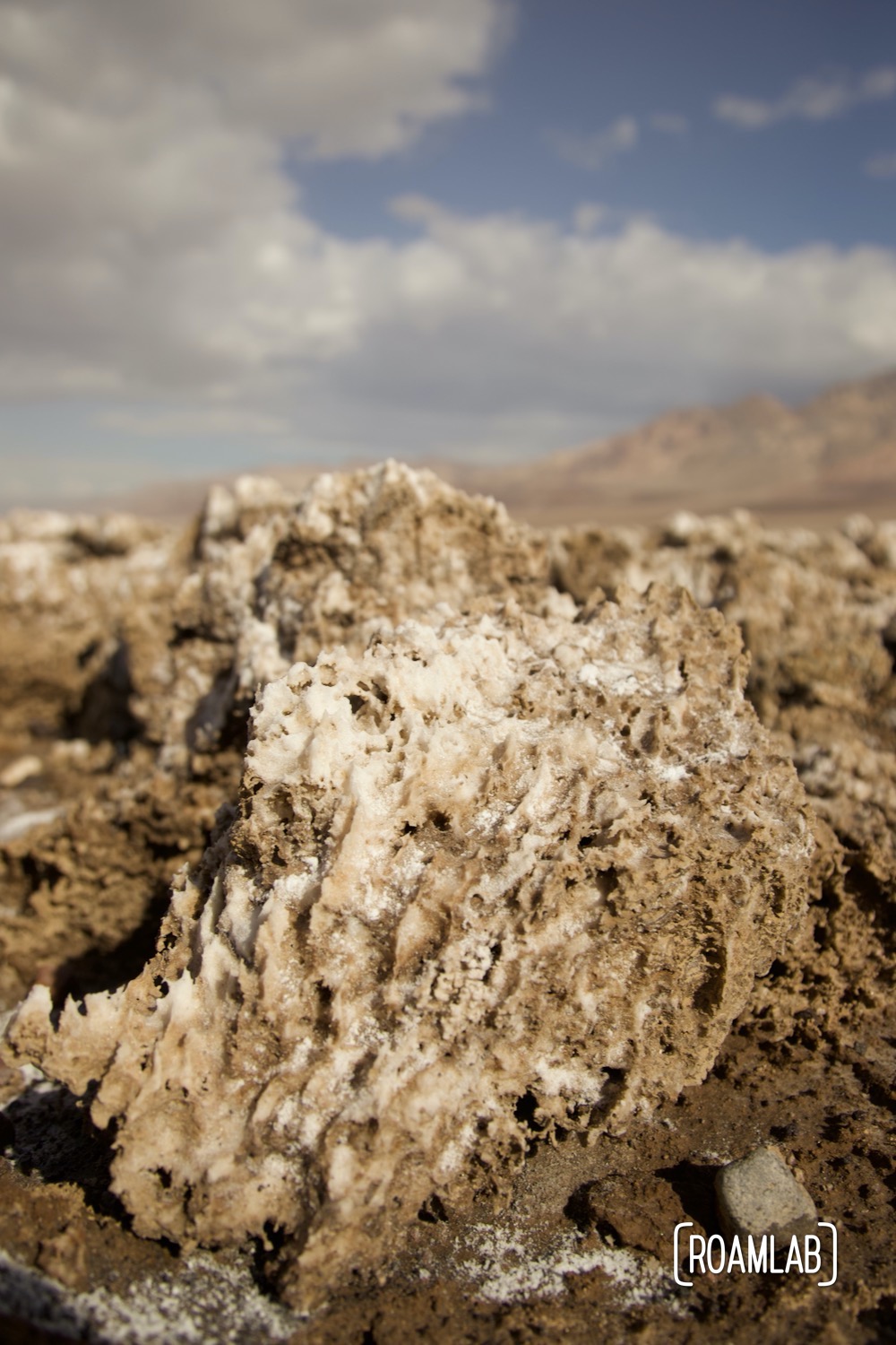 One of the many strange clumps of salt that make up the Devils Golf Course.