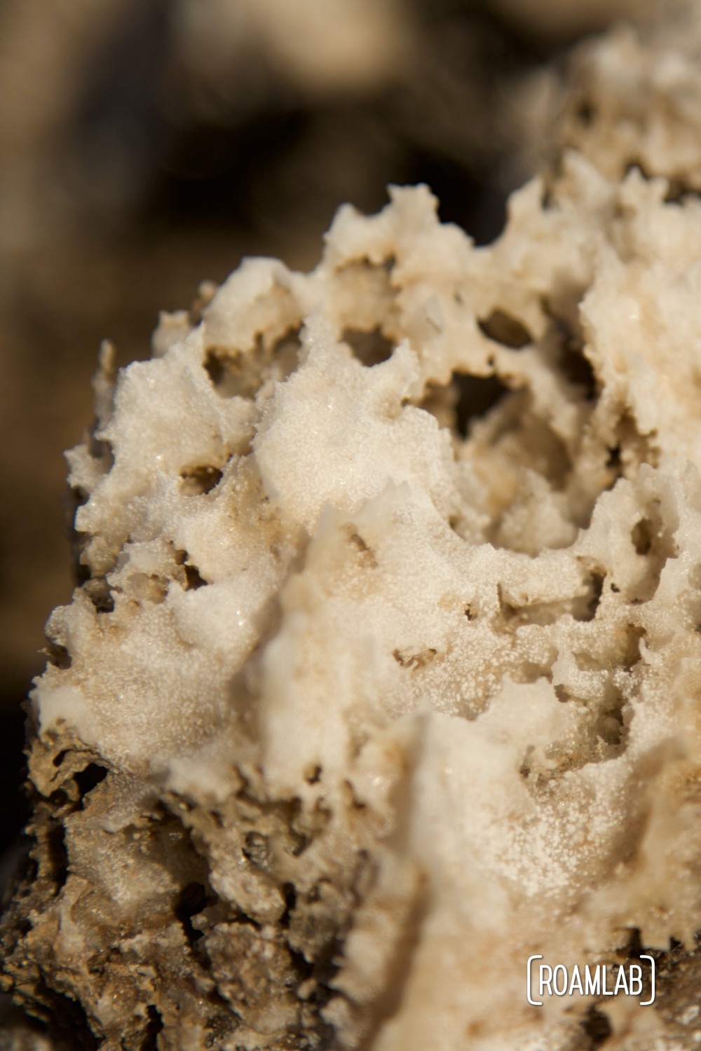 Close view of the salt formations making up the Devil's Golf Course.