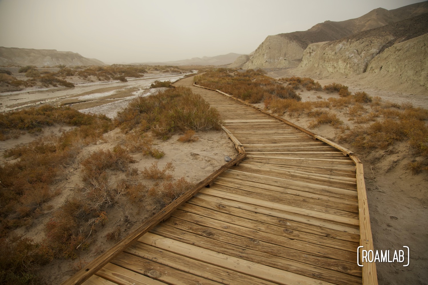 Boardwalk winding next to a sand dune.