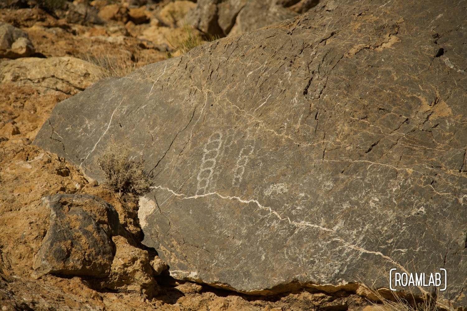 Closeup of petroglyphs along Titus Canyon Road in Death Valley National Park, California.