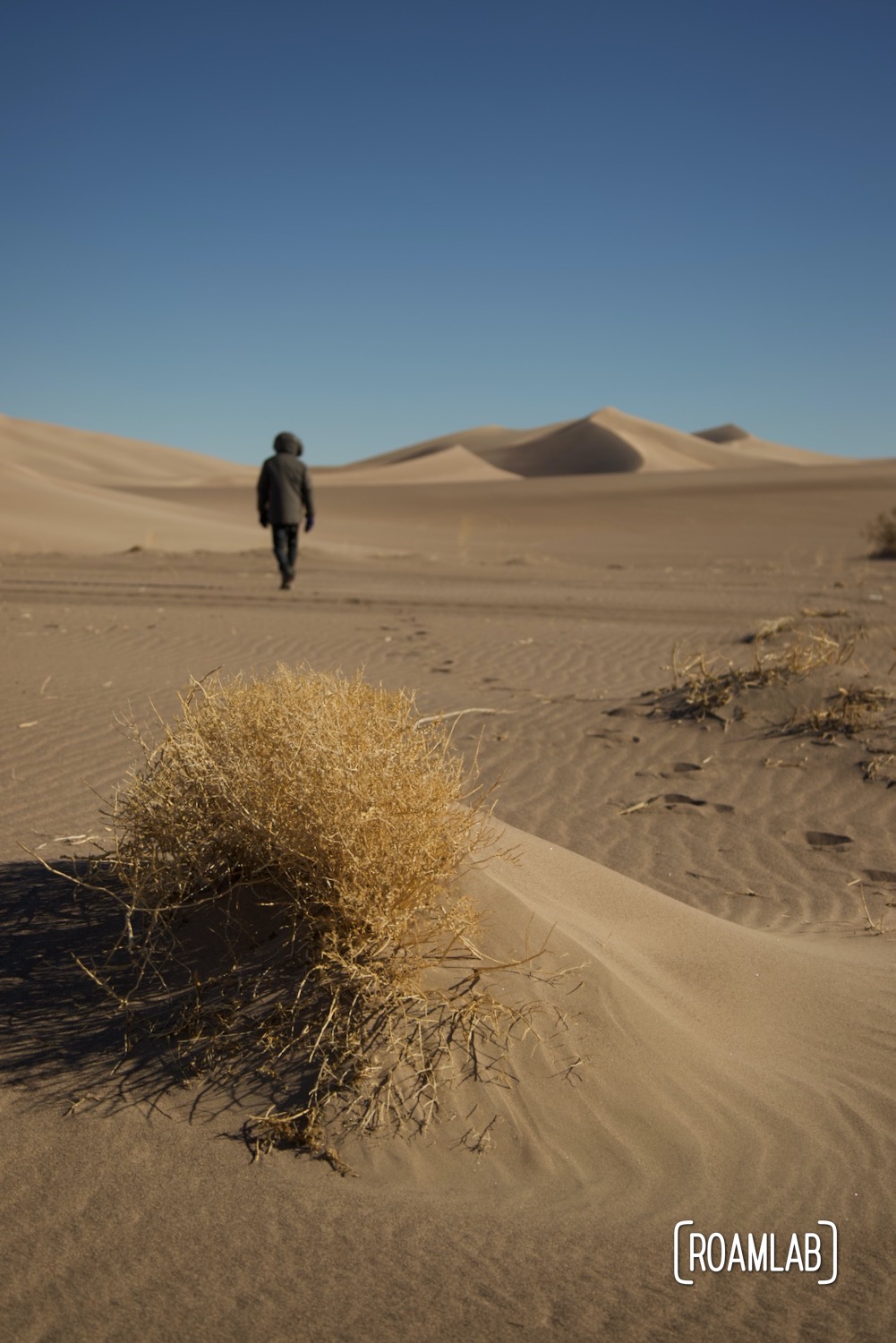 Man walking towards the dunes of Big Dune Recreational Area.