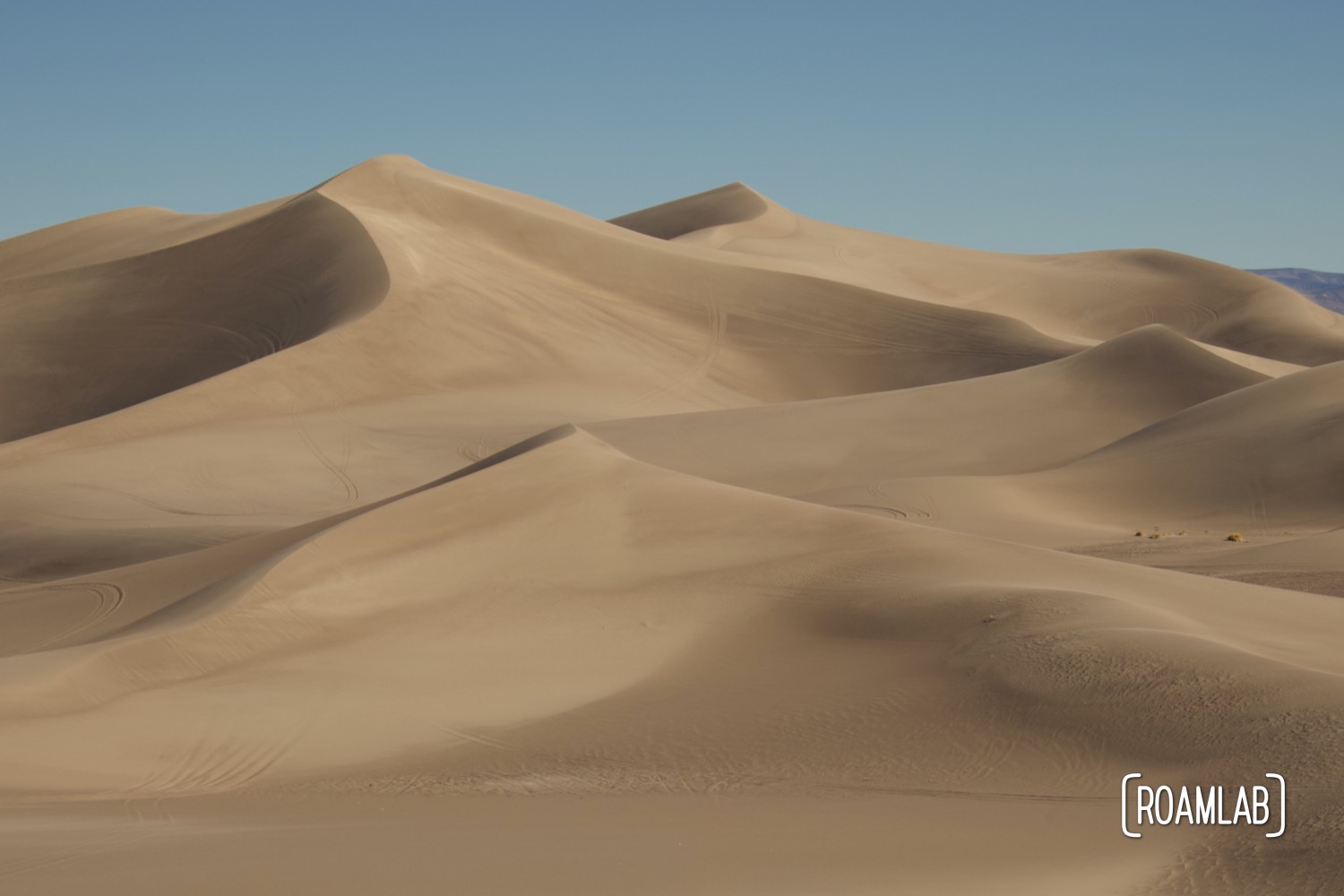 The dunes of Big Dune Recreational Area.