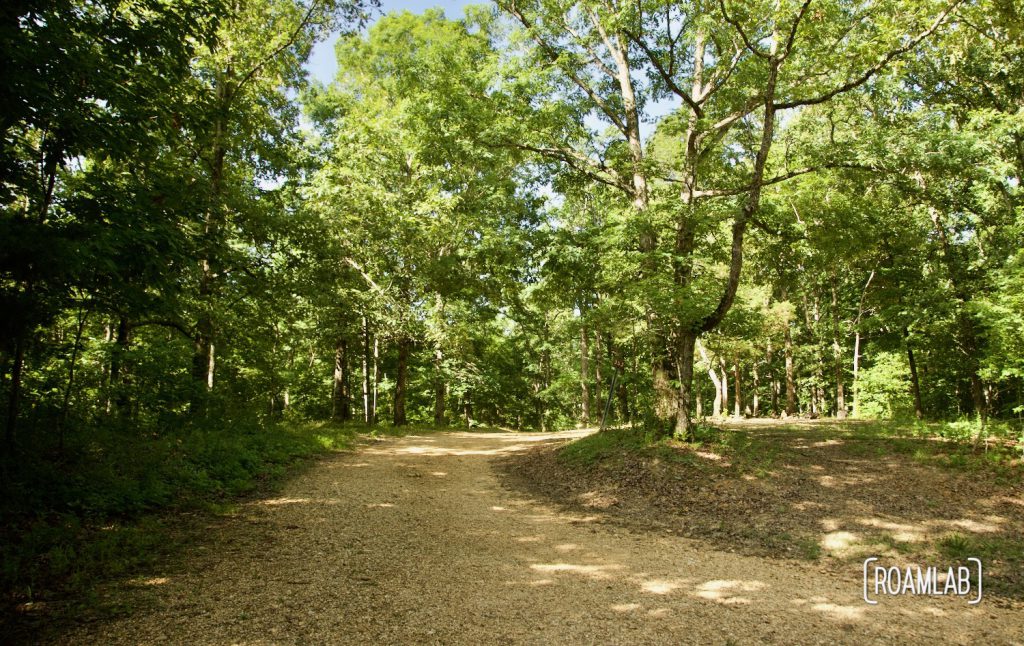 Level gravel road winding off into the forest.