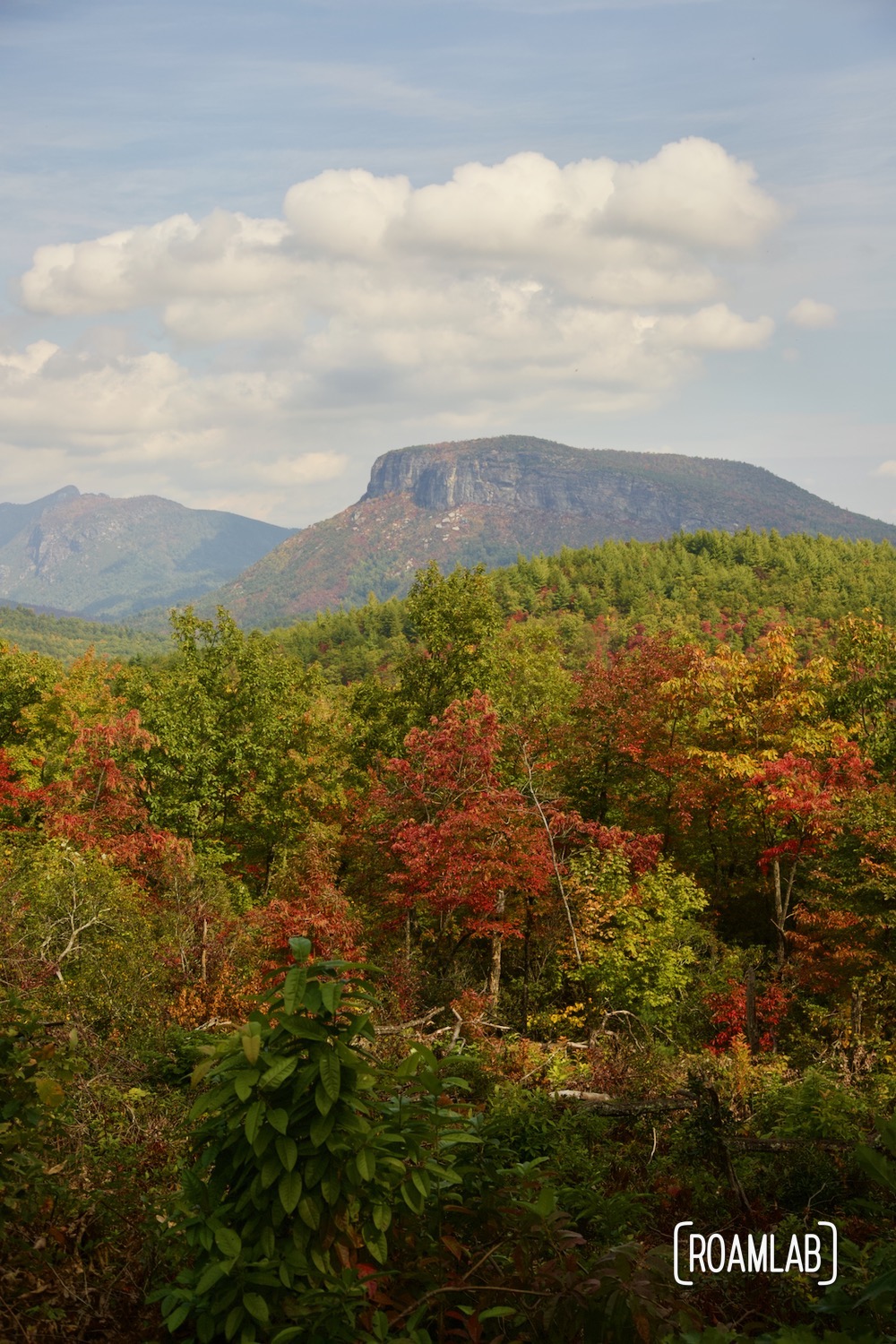 A colorful view of Linville Gorge Wilderness Area.